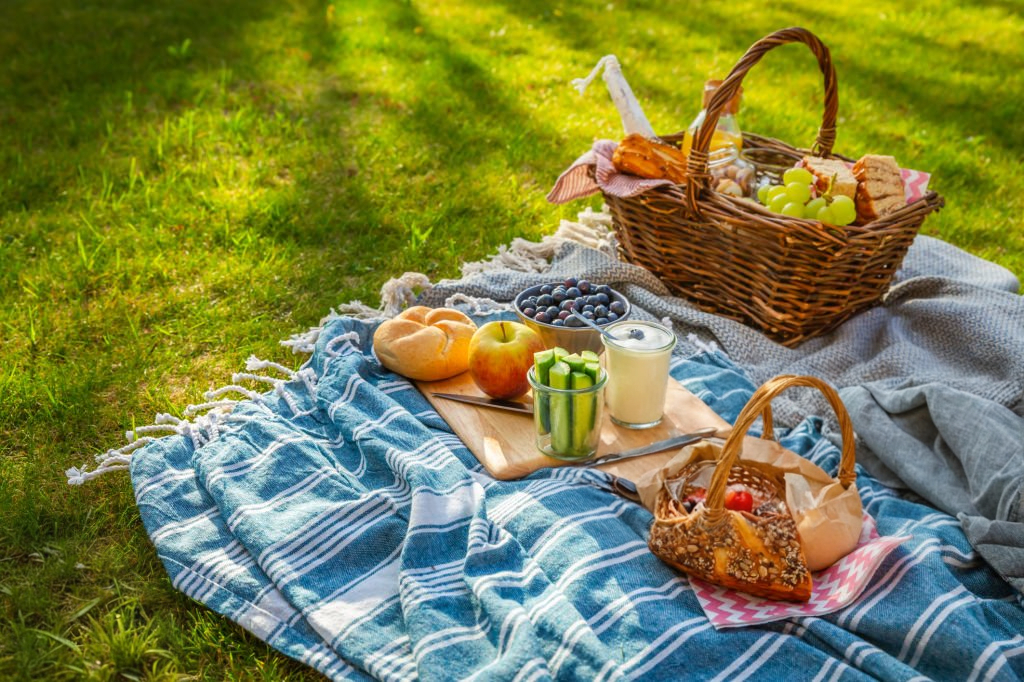 Picnic